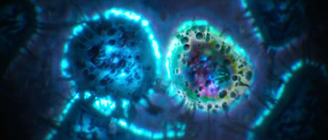 شرح وتفسير قصة فيلم Annihilation.. ما الذي يعنيه فعلا هذا الفيلم الغريب؟